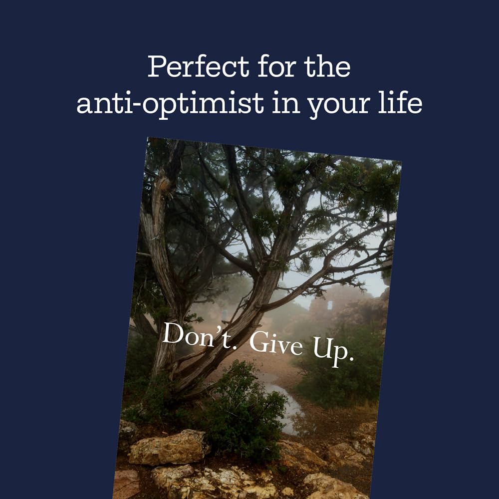 Disappointing Affirmations Book