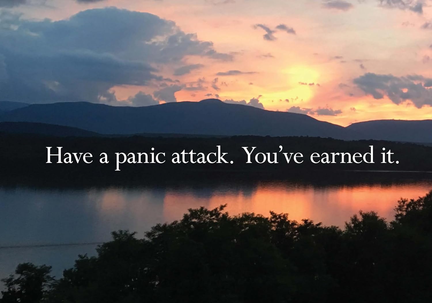 Disappointing Affirmations Book