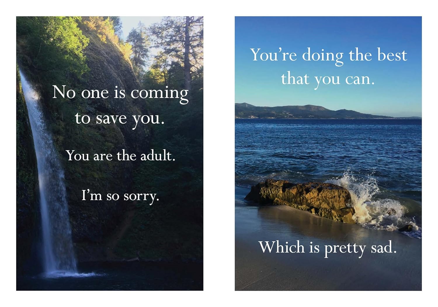 Disappointing Affirmations Book