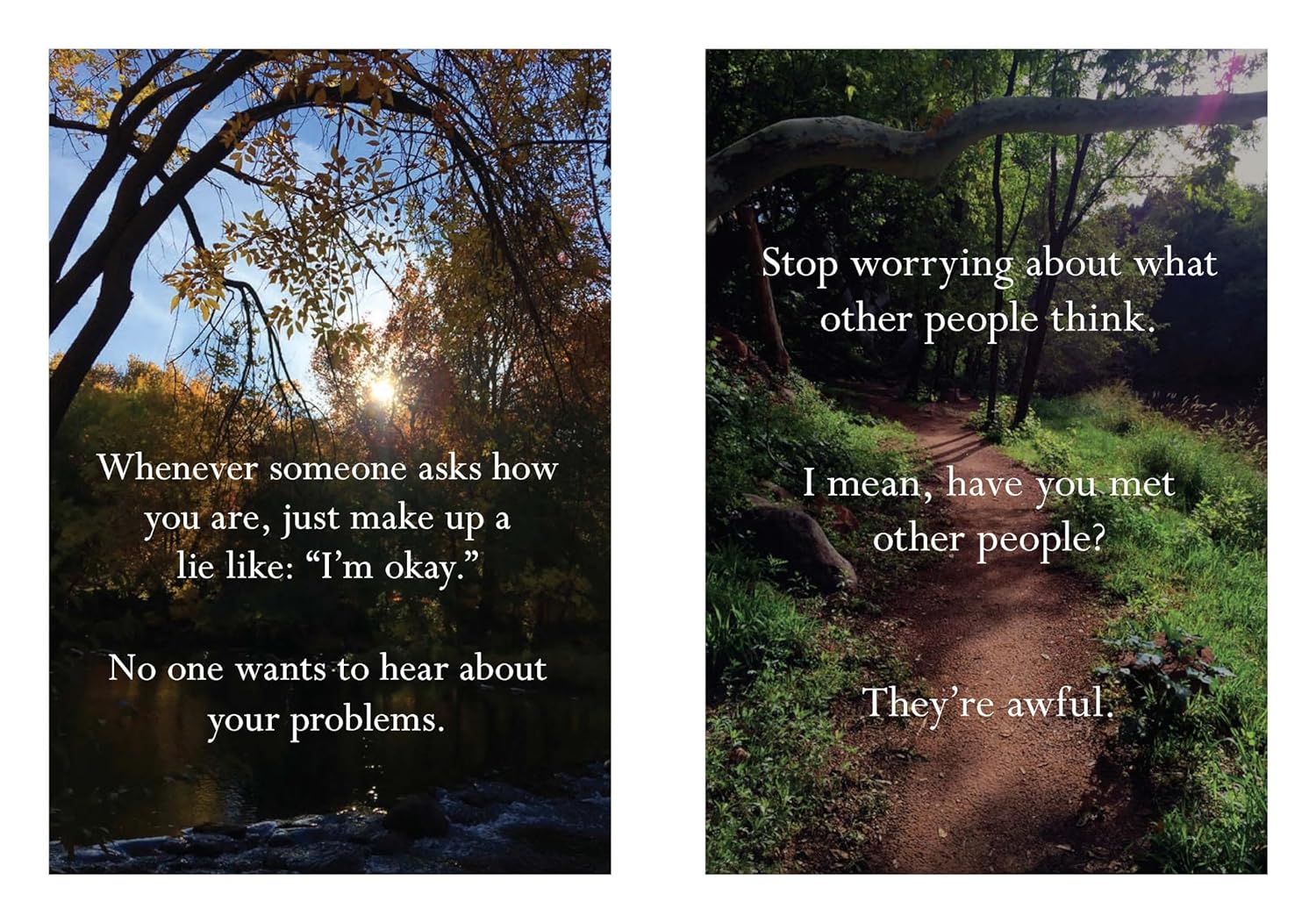 Disappointing Affirmations Book